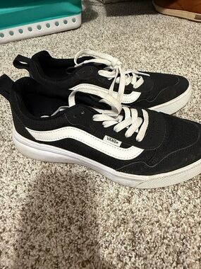 Vans Black and White Low-Top Skate Sneakers